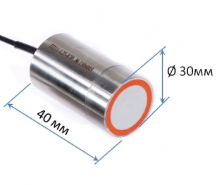 Габариты иммерсионного преобразователя на 1,25 МГц